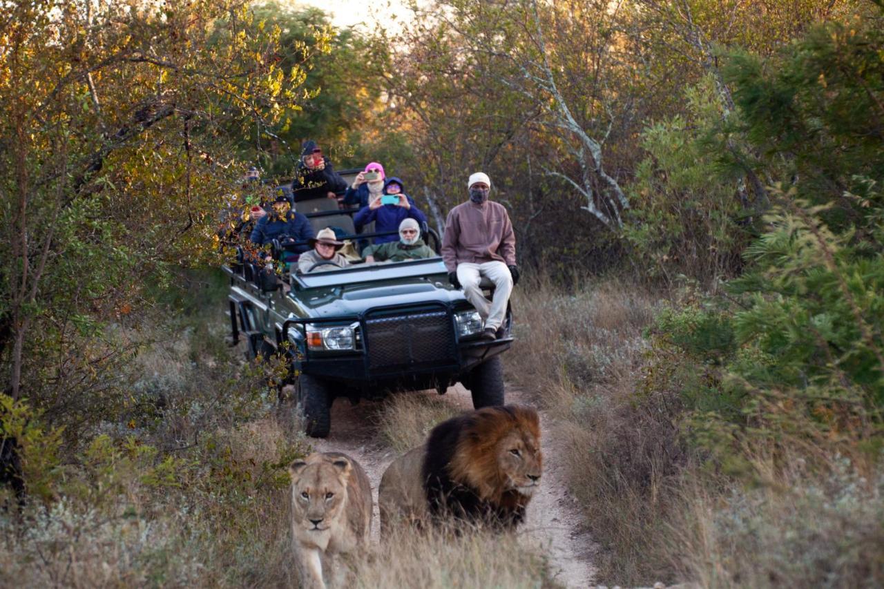 Karongwe Portfolio - Becks Safari Lodge Karongwe Game Reserve Εξωτερικό φωτογραφία