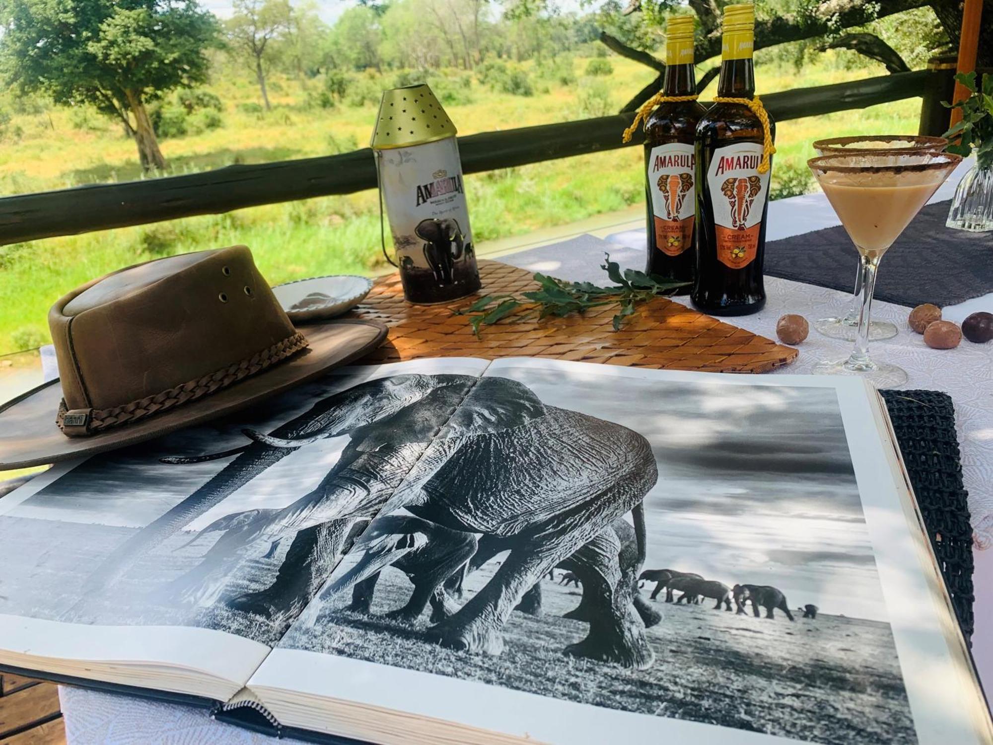Karongwe Portfolio - Becks Safari Lodge Karongwe Game Reserve Εξωτερικό φωτογραφία
