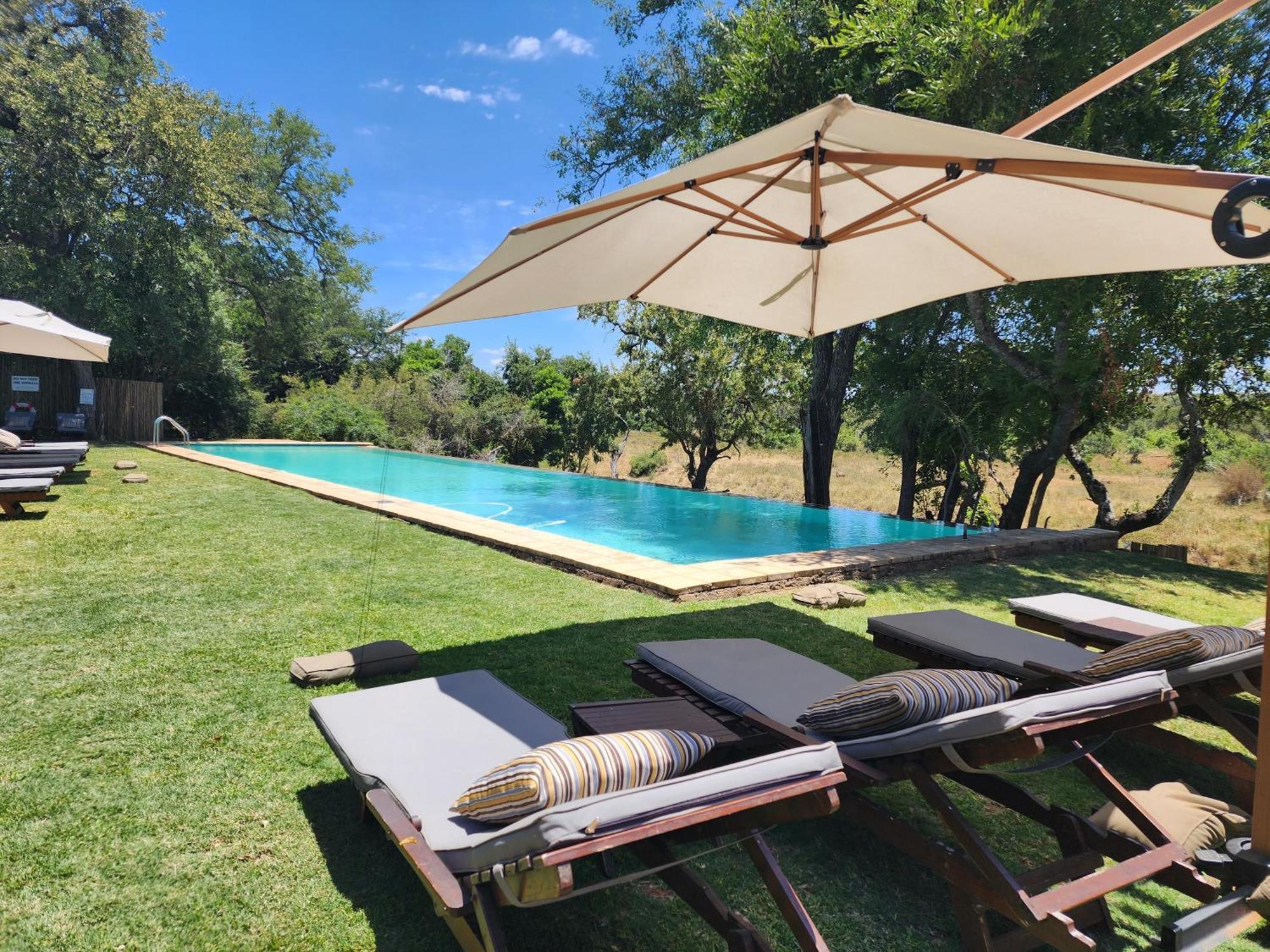 Karongwe Portfolio - Becks Safari Lodge Karongwe Game Reserve Εξωτερικό φωτογραφία